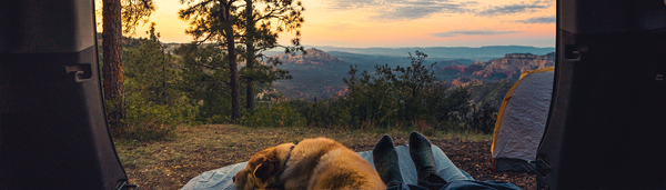 WINTER CAMPING | Experience nature during an overnight stay in winter