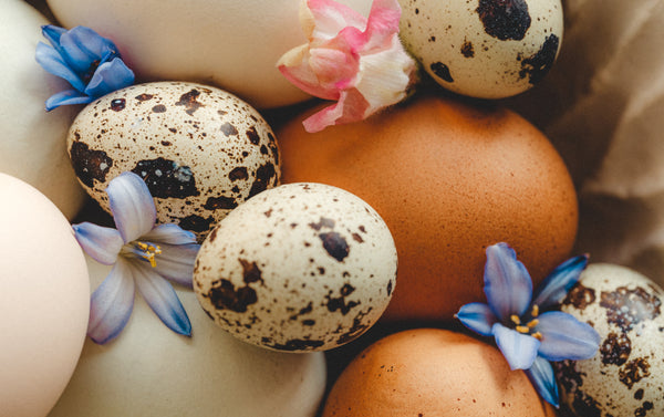 SUITSUIT RECOMMENDS | 6x fun things to do during Easter