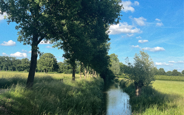 SUITSUIT RECOMMENDS | A spring walk in Amelisweerd