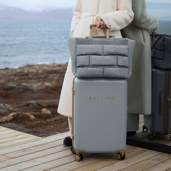 Fusion - Frosted Grey - Check-in (66 cm)